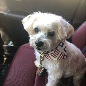 Meet your Posher, Deanna